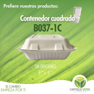 Contenedor cuadrado extra grande 9x9 biodegradable bagazo de caña - Empaque Verde