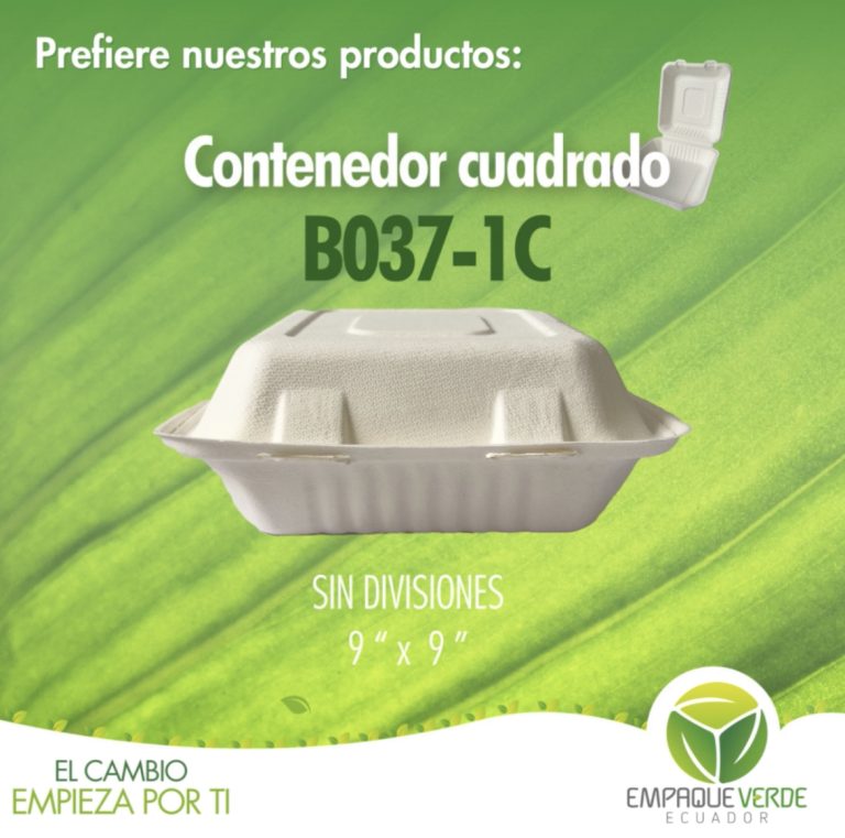 Contenedor cuadrado extra grande 9x9 biodegradable bagazo de caña - Empaque Verde