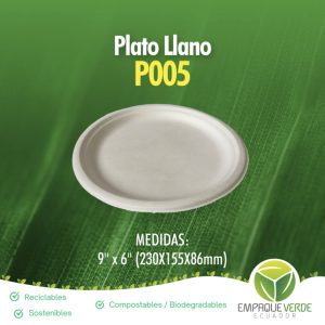 Plato llano 10 pulgadas biodegradable de bagazo de caña para delivery - Empaque Verde